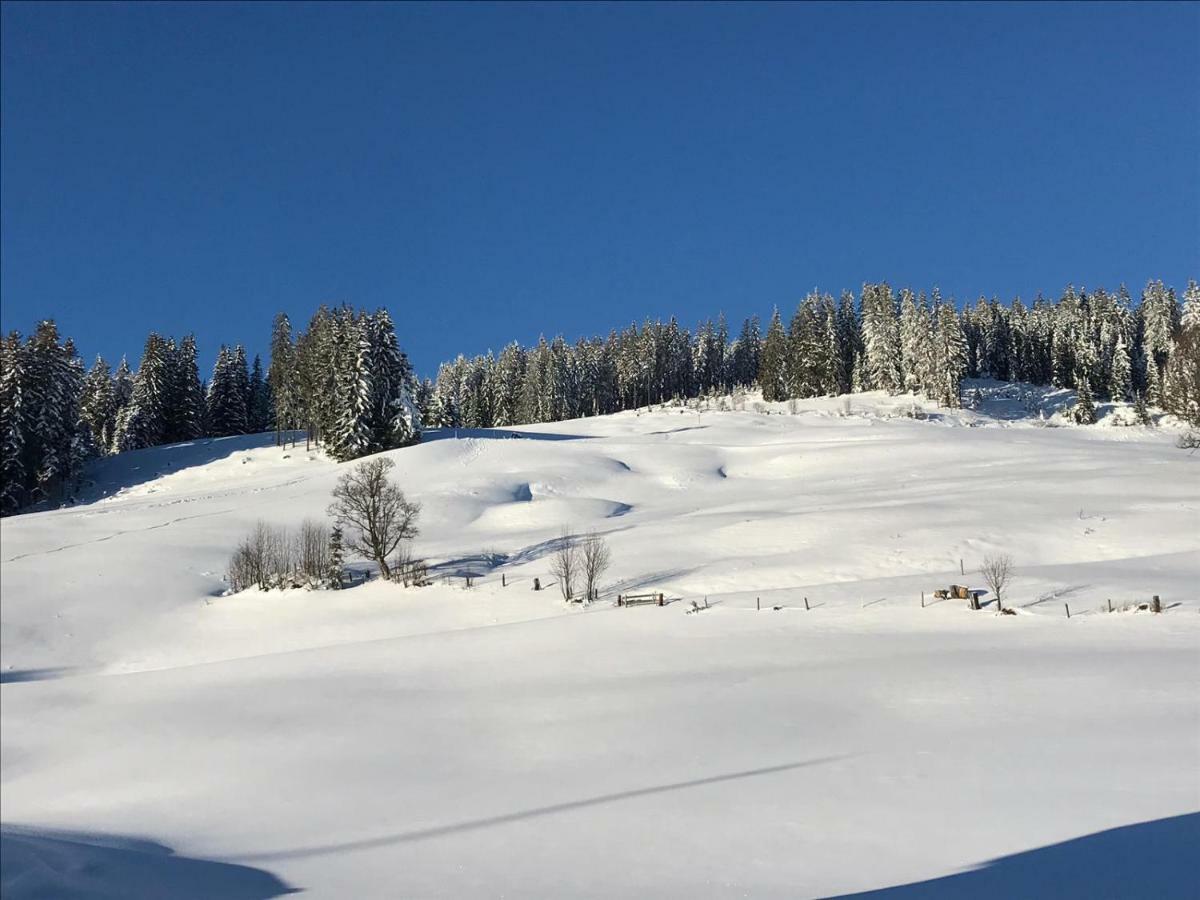 Bergpension Zinting Brixen im Thale Eksteriør billede